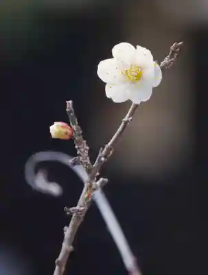 三津厳島神社(愛媛県)