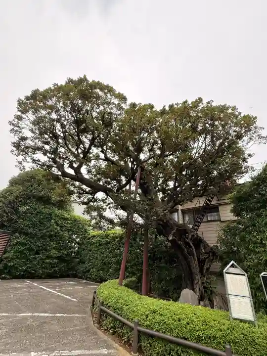 延命院(東京都)