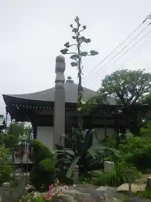 青蓮寺のその他建物