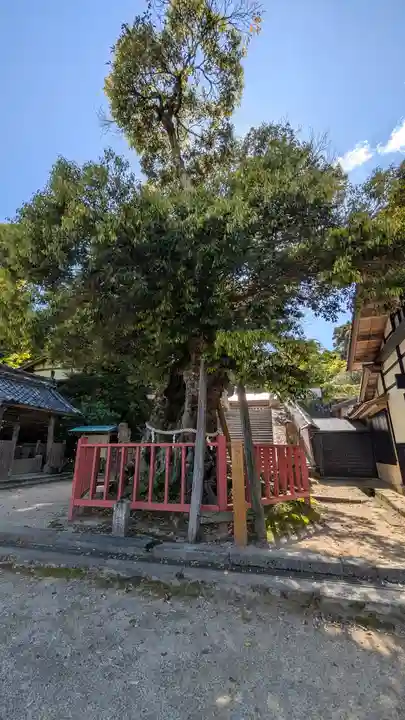 山王宮日吉神社(京都府)