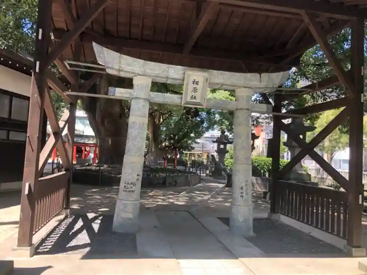佐嘉神社・松原神社(佐賀県)
