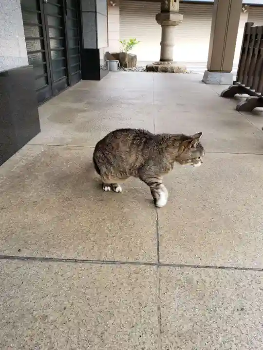 白金氷川神社(東京都)