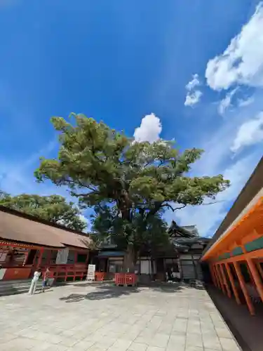 宇佐神宮(大分県)