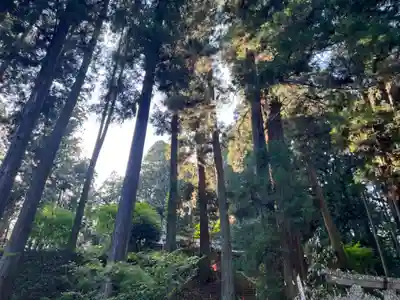 大宮温泉神社(栃木県)