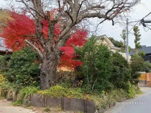 稲荷神社の庭園