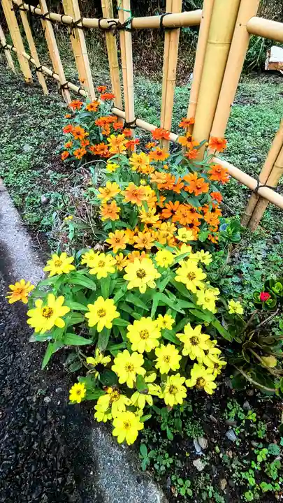 白金氷川神社の自然