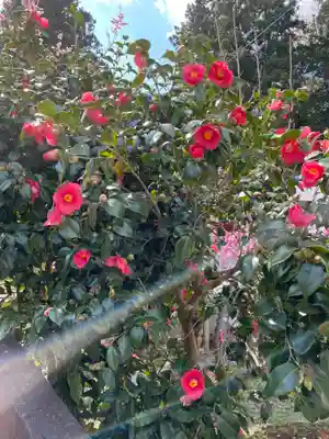 福島大神宮(北海道)