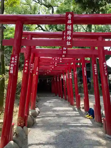 青井阿蘇神社の鳥居