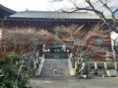養玉院如来寺の本殿・本堂