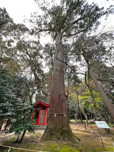 奥石神社(滋賀県)