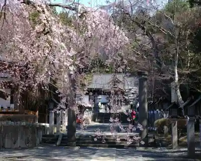 南湖神社の{uncategorized: "未分類", other: "その他", undefined: "問題あり", building: "その他建物", grave: "お墓", sacred_gate: "鳥居", guardian: "狛犬", statue: "像", buddha: "仏像", history: "歴史", nature: "自然", garden: "庭園", animal: "動物", pagoda: "塔", temizu: "手水舎", mountain_gate: "山門・神門", sanctuary: "本殿・本堂", subordinate: "末社・摂社", art: "芸術", scenery: "景色", jizo: "地蔵", ema: "絵馬", goshuin: "御朱印", omikuji: "おみくじ", items: "授与品その他", amulet: "お守り", goshuincho: "御朱印帳", eats: "食事", festival: "お祭り", votive_dance: "神楽", shichigosan: "七五三参", wedding: "結婚式", experience: "体験その他", initially: "初詣", around: "周辺", anti_infection: "感染症対策"}