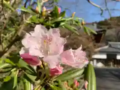 普門寺(切り絵御朱印発祥の寺)(愛知県)