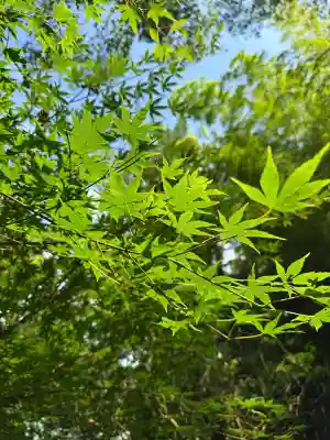 報国寺(神奈川県)