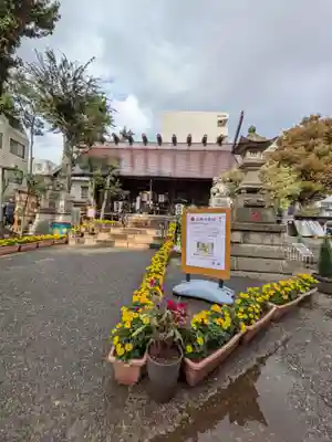 高円寺氷川神社(東京都)