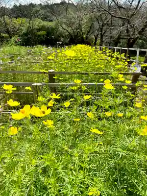 安倍文殊院 (奈良県)
