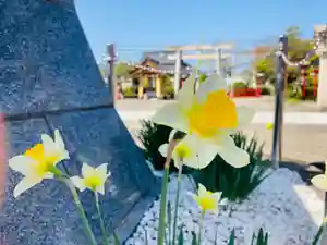 總社 和田八幡宮(福井県)(2022年04月14日(木) 19時18分46秒投稿)