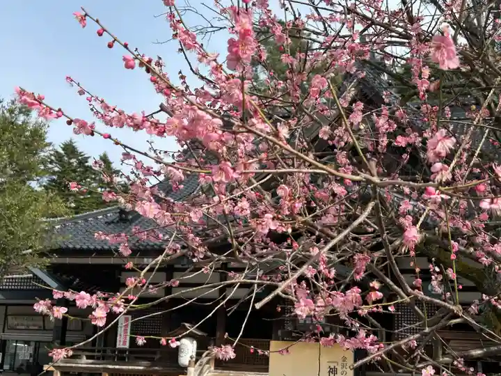 尾山神社(石川県)
