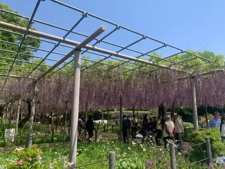 曼陀羅寺の庭園