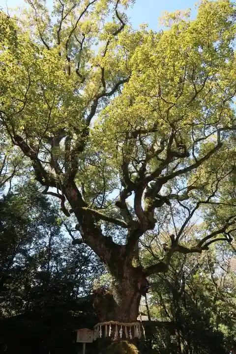 熱田神宮(愛知県)
