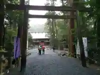 椿大神社の鳥居
