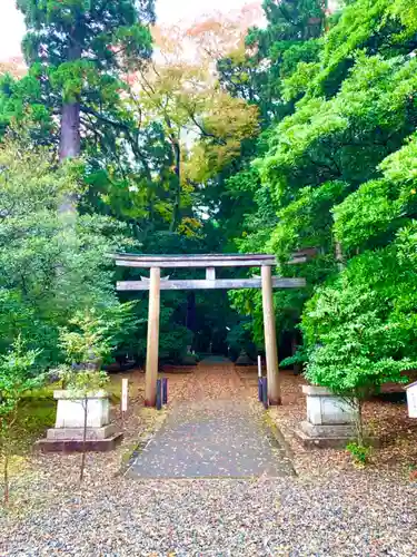 若狭彦神社（上社）の鳥居