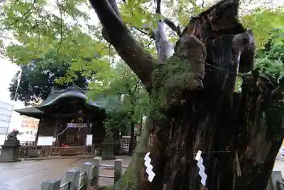 阿邪訶根神社の本殿・本堂