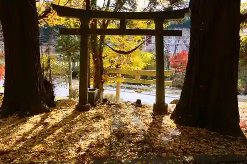 愛宕神社の鳥居