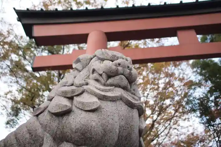 武蔵一宮氷川神社の狛犬