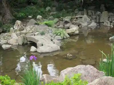 諫早神社（九州総守護  四面宮）(長崎県)
