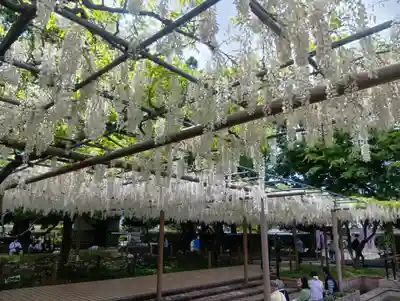 曼陀羅寺(愛知県)