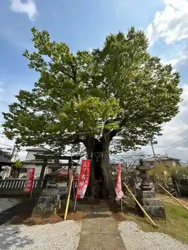 三ツ木神社(埼玉県)
