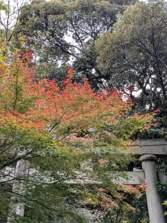 赤坂氷川神社(東京都)