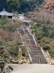 三室戸寺の建物その他