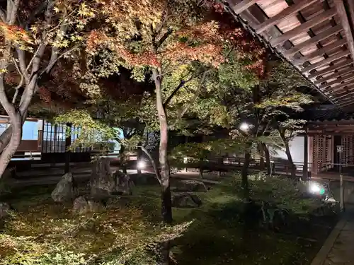 建仁寺（建仁禅寺）(京都府)