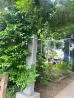 麻賀多神社(千葉県)