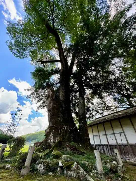 天引八幡神社(京都府)