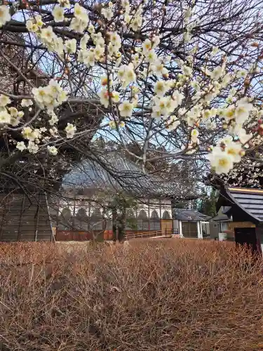 玉泉寺(福島県)