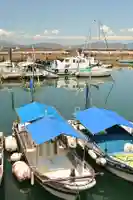 遍照院(愛媛県)