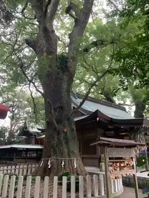 春日神社の自然