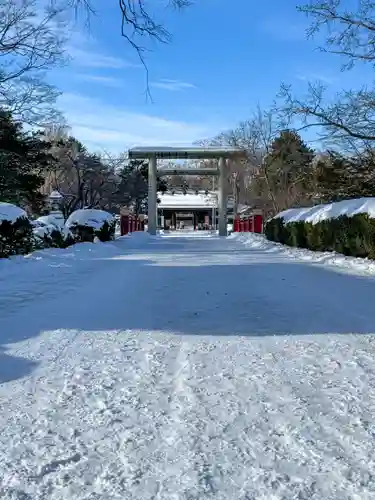 札幌護國神社の鳥居