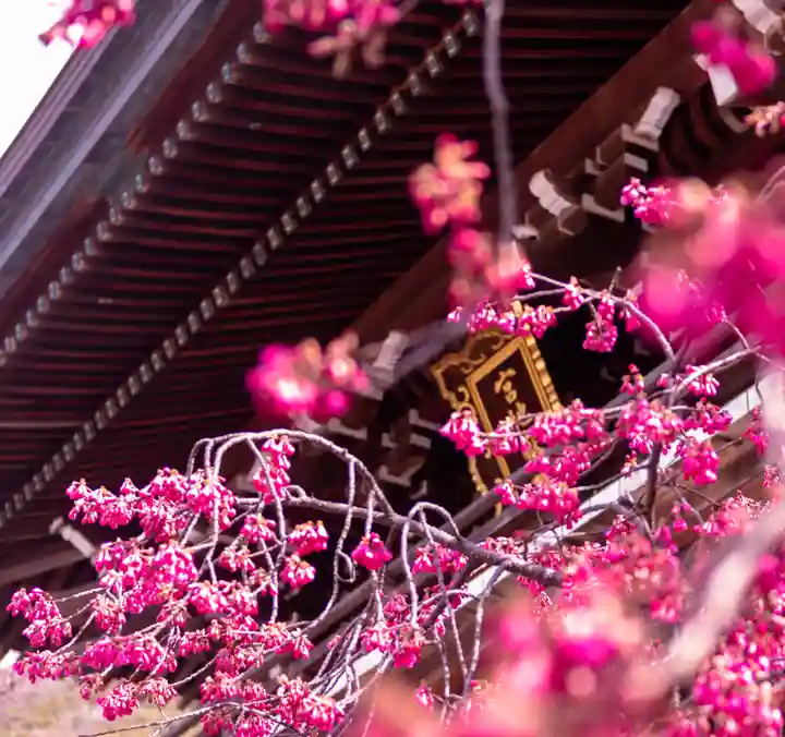 宮地嶽神社(福岡県)