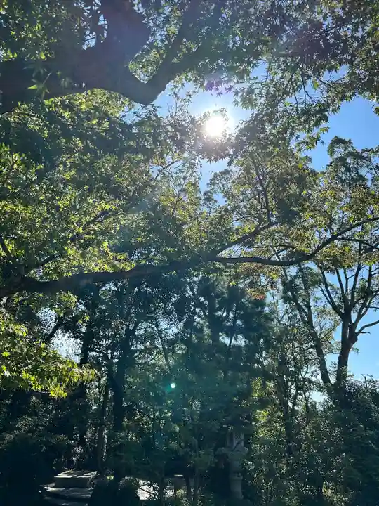 寒川神社(神奈川県)