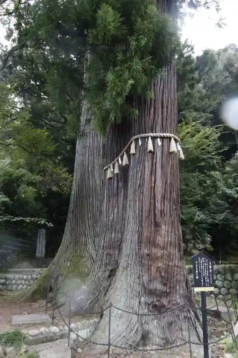 日枝神社(静岡県)