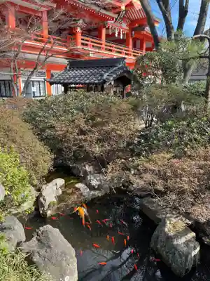 千葉神社(千葉県)