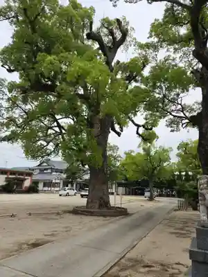 佐賀縣護國神社(佐賀県)