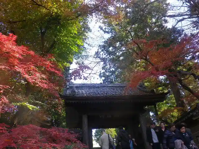 円覚寺の山門・神門