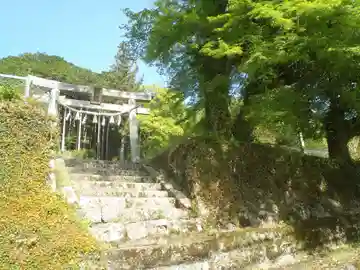 八幡社(愛知県)