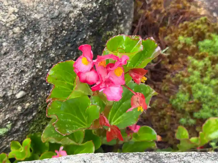 西方山極楽寺(岐阜県)
