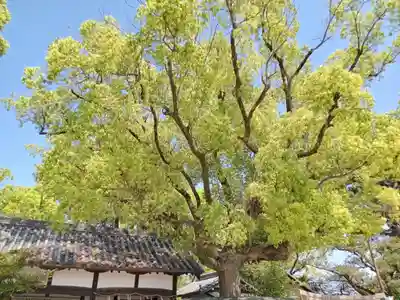 柴籬神社(大阪府)