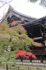 真正極楽寺（真如堂）(京都府)